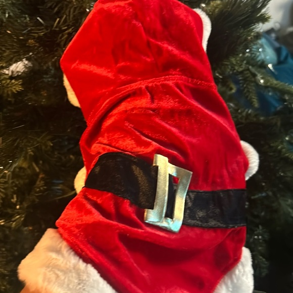 Other - Small dog Christmas Santa costume